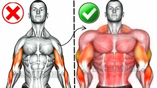 UPPER BODY WORKOUT WITH BODYWEIGHT shoulderforearm  chest  triceps  back  bicepsabstraps [upl. by Yenreit544]