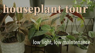 🌿Houseplant Tour 2021  EASY LOW LIGHT Plants  Tiny Apartment [upl. by Len]