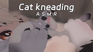 Furry Paws ASMR Cat kneading！Massage SPA [upl. by Glinys]