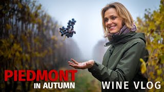 Piedmont in Autumn Wine Vlog [upl. by Nyram787]