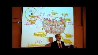 ANATOMY REVIEW OF CYTOLOGY PART 2 by Professor Fink [upl. by Lilith493]