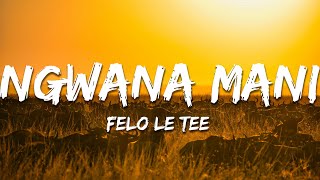 Felo Le Tee  Ngwana Mani Lyrics [upl. by North]