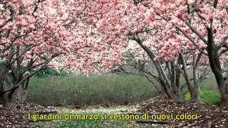 I giardini di marzo  Lucio Battisti video con testo [upl. by Crocker]