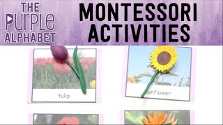 How to Use Montessori 3 Part Cards  Activities for Toddlers and Preschool [upl. by Streetman]