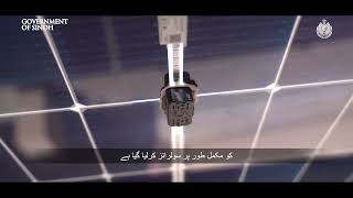 Sindh Government has solarized Central Jail Karachi as part of the Sindh Solar Energy Project [upl. by Orpha]