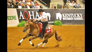 REINING CHAMPIONSHIPS AT THE KENTUCKY HORSE PARK [upl. by Mayram931]