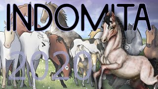 Reviewing Indomita Horse RPG [upl. by Assek754]