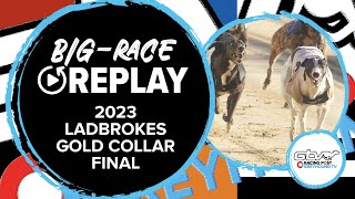 2023 Ladbrokes Gold Collar  Laughil Jess  Greyhound Replays  2023 Big Finals [upl. by Enilrad47]