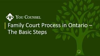 Family Court Process in Ontario  The Basic Steps [upl. by Jacquie800]