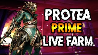 PROTEA PRIME RELEASE AND GRIND [upl. by Akimaj]