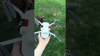 OBUOY™ Life Jacket provides buoyancy djidrones easyrecovery bayarea dronesdaily dronesafety [upl. by Stormy]