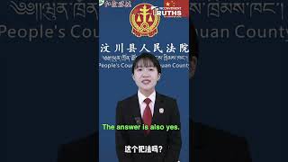 Why Using VPN is Illegal in China [upl. by Anelys540]