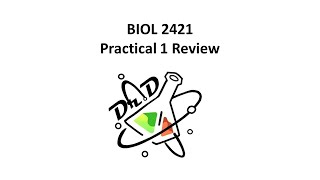 BIOL2421 Practical I Review Microbiology for Science Majors [upl. by Guenna]