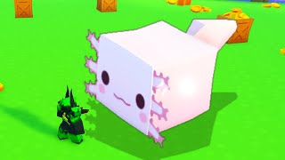 How to Get TITANIC AXOLOTL Pet Simulator X [upl. by Spatola]