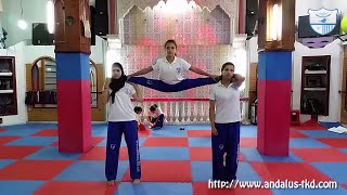 Martial Art  Taekwondo  Amazing Girls Kicks And Flexibility [upl. by Eelhsa]