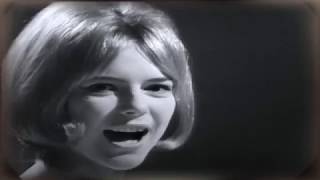 France Gall  Poupée de cire poupée de son amp Das war eine schöne Party 1965 [upl. by Freberg875]