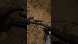 I almost had a huge crash on this high speed downhill trail windrockbikepark mtb mountainbiking [upl. by Yniattirb]