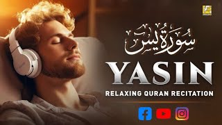 Omar Hishams POWERFUL Recitation of Surah Yasin Most beautiful recitation of Surah Yaseen [upl. by Asiak]