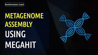 Metagenomics Assembly using Megahit [upl. by Aimat]