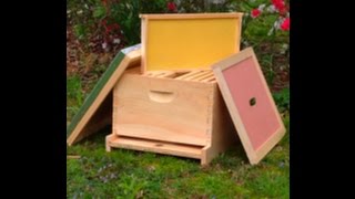 First Year Of Beekeeping basic equipment starting your beehive [upl. by Teilo]