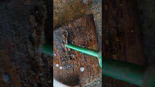 woodworm treatment agf ref [upl. by Glaab911]