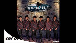 Indomable De Chih 2017Estoy a punto de olvidarteContrataciones 6141979059 [upl. by Name714]