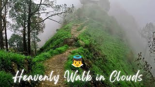 Gilbert Trail Kasauli 😍  Best Place to Visit Near Delhi  Road Trip In Tata Safari 2022 [upl. by Owain]