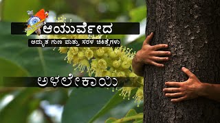 Benefits Of Chebulic Myrobalan  Alalekayi Ayurveda Treatments  Kannada Video  Namma Bharatha [upl. by Rice619]