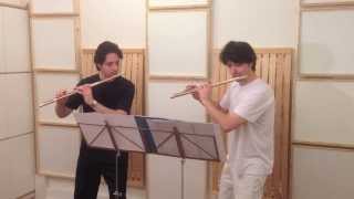 The best Flute Duo ever plays Flight of the Bumblebee [upl. by Wallie]