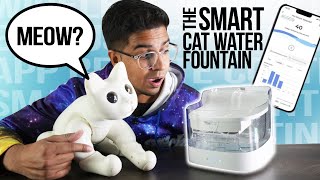 I Bought a Cat Water Fountain for my Robot Cat  Petgugu Water Fountain Review [upl. by Chelton240]