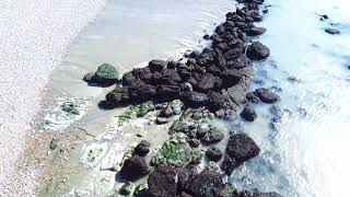 Discover Samphire Hoe Stunning Drone Footage of Kents Hidden Beach GemSamphire Hoe [upl. by Janie]