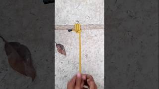 Outdoors Practical knotknottying diy knottutorial shortsfeed rope easyknot shorts ytshorts [upl. by Ahsinaw]