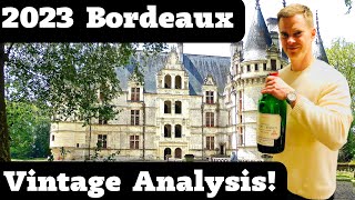 Wine Collecting 2023 BORDEAUX Vintage Analysis [upl. by Wilone]