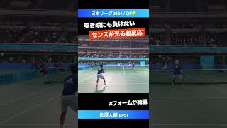 センスが光る神反応【日本リーグ2024QF】住澤大輔EPS shorts テニス tennis [upl. by Danais320]