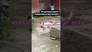 DJ Kutta song DJ Kutta song bollywood hindisong [upl. by Laural]