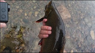 My 2024 Fly Fishing Season Review [upl. by Anitsej]