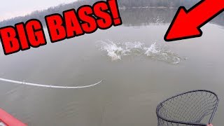 Bass Fishing Early Before School GIANT BASS [upl. by Benia]