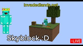 SKYBLOCK WOOOO [upl. by Notgnimer]