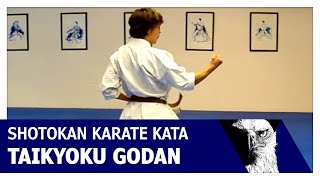 Taikyoku Godan Shotokan Karate Kata [upl. by Mil]