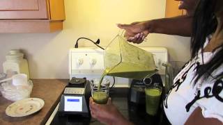 Blendtec vs Oster Versa Overview amp Green Smoothie Test [upl. by Primavera]