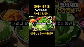 양배추와 절대로 함께 먹지마세요 암과 치매에 걸릴 수 있습니다  최악의 궁합인 음식 3가지와 보약보다 좋은 최고의 레시피 3가지 양배추 효능 건강 식단 아침 공복 [upl. by Einahets]