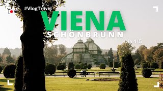 🇦🇹VIAJE A VIENA 5 DÍAS  Schönbrunn⛲️ [upl. by Durnan740]