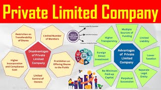 Private Limited Company  Definition Formation and Types of Company Explained with Example [upl. by Esimaj]