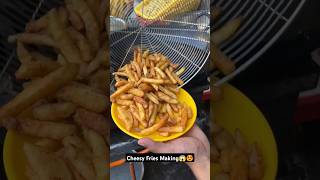 Super Cheesy Fries Making In Just Rs100 Only At Shree Pandit Ji Foods Mall Road Kanpur  shorts [upl. by Sarge45]