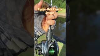 Pesca BFS pesca bfsfishing trucha baitcasting [upl. by Sheelah]