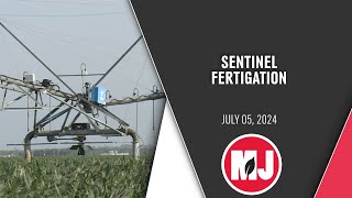 Nitrogen Management Solution  July 5 2024 [upl. by Ayekan999]