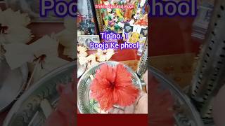 Tip 1 Pooja Ke phool [upl. by Sieber]