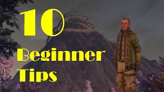 10 Beginner Tips to Start Out  Outward Definitive Edition [upl. by Dierdre582]