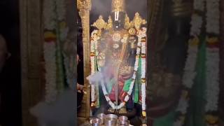 Venkataramana Govinda hari Govinda 🙏goddevotional viralshorttirumala vasa🙏 [upl. by Steddman]