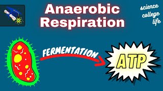 Anaerobic Respiration Fermentation  Microbiology Lecture [upl. by Eli915]